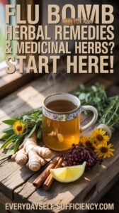 Flu Bomb Immunity Drink: Herbal Remedies & Medicinal Herbs